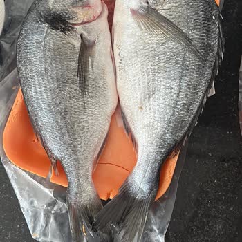 Siparişimde Yanlış Ürün Hazırlığı Ve Kaba İletişim Deneyimi