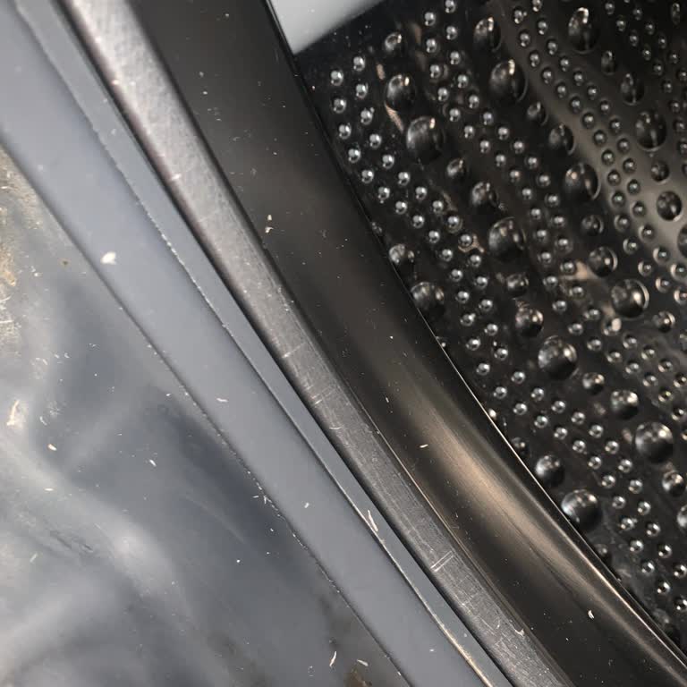 Bosch Çamaşır Makinesi Lastiğinde Küf Ve Kötü Koku Sorunu