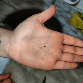 Son Kullanma Tarihi Geçmemiş Pirinçte Böceklenme Şoku