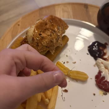 Siparişimde Bulaşık Teli Çıkması Şok Edici Ve Tehlikeli