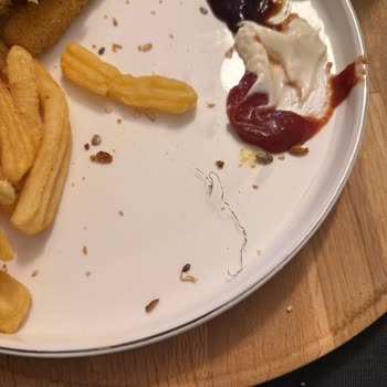 Siparişimde Bulaşık Teli Çıkması Şok Edici Ve Tehlikeli