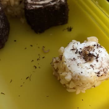 Aldığım Lokumun İçinden Kurt Çıktı Ve Bayat Çıktı