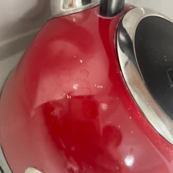 Karaca Su Isıtıcısı Serviste Bekliyor, Çözüm Ve Bilgilendirme Yok