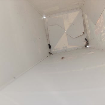 Godiva Çikolatada Kurt Çıkması Ve Yetersiz Çözüm Talebi