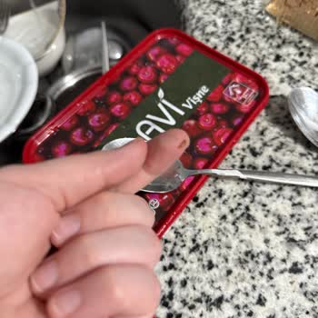 Dondurulmuş Vişnede Kurt Şoku: Ücret İadesi Talebim Var