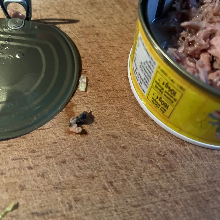 Ton Balığında Yabancı Cisimle Karşılaşma Ve Memnuniyetsizlik