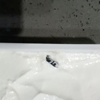 Labne Peynirinde Yabancı Maddeyle Karşılaşılması Ve Sağlık Riski