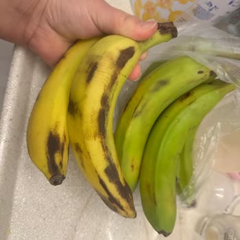 Bozuk İthal Muzlar Ve Geciken Hızlı Teslimat Mağduriyeti