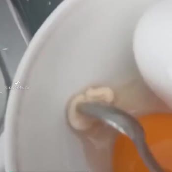 Bilken Yumurtadaki Yabancı Madde