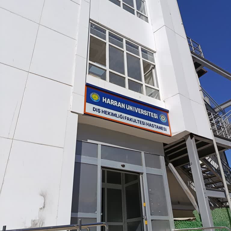 Engelli Hastalar İçin Asansör Sorunu Ve İlgisizlik