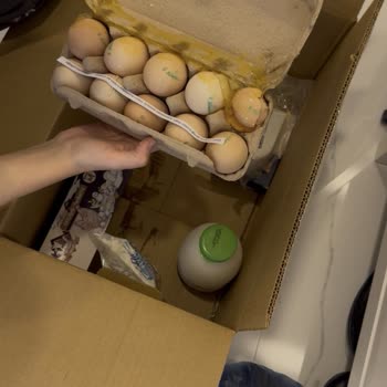 Tazedirekt'ten Teslimat Ve İade Kabusu: Ürünler Zarar Gördü, Para İadem Yapılmıyor