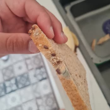 Tarihi Geçmemiş Ekmekte Küf Sorunu Ve Güven Kaybı
