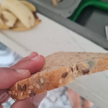 Tarihi Geçmemiş Ekmekte Küf Sorunu Ve Güven Kaybı