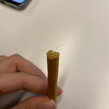 UNO Grissuno Kepekli Paketinde Kıl Çıkması Hayal Kırıklığı Yarattı