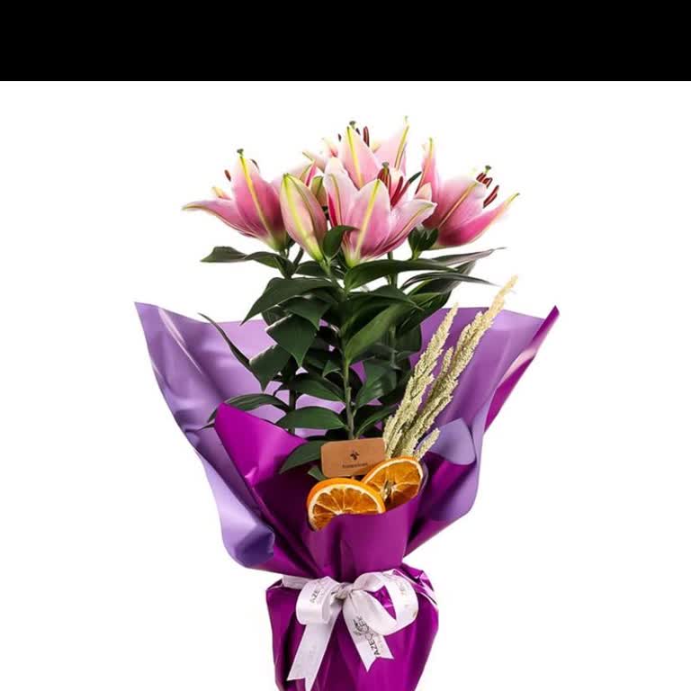 Hayal Kırıklığı Yaratan Doğum Günü Siparişi: Eksik Ve Yanlış Ürün, Sıfır Destek