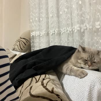 Bunny Veteriner Kliniği (İzmir) Mağduriyeti