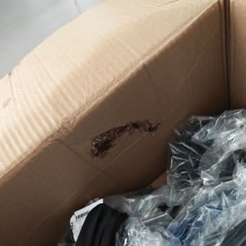 Kargodan Gelen Ürünler Lekeli Ve Kokulu, DeFacto'dan Dönüş Alamadım