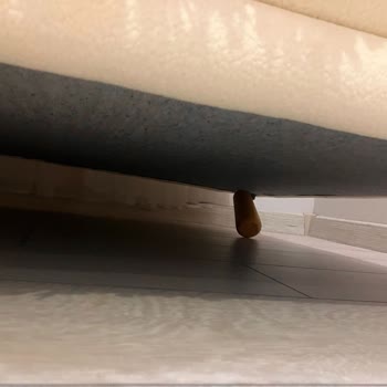 Selis Furniture Yeni Alınan Koltuklarda Kısa Sürede Çökme Ve Ayak Kırılması Sorunu