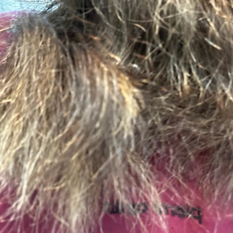 Saç Boyama Sonrası Hem Renk Hem Sağlıkta Büyük Mağduriyet Ve Yüksek Ücret