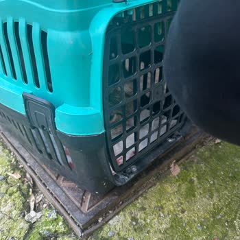 Ümraniye Ataşehir Köpek Barınağı’nda İlgisizlik Ve Hayvanlara Kötü Muamele