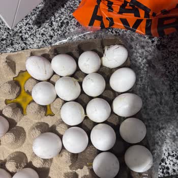 Kırık Ve Bozuk Yumurta Teslimatı, İade Talebine Cevap Alınamıyor