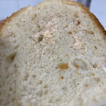 A101’den Aldığım Ekmek Son Kullanma Tarihinde Küflü Çıktı!