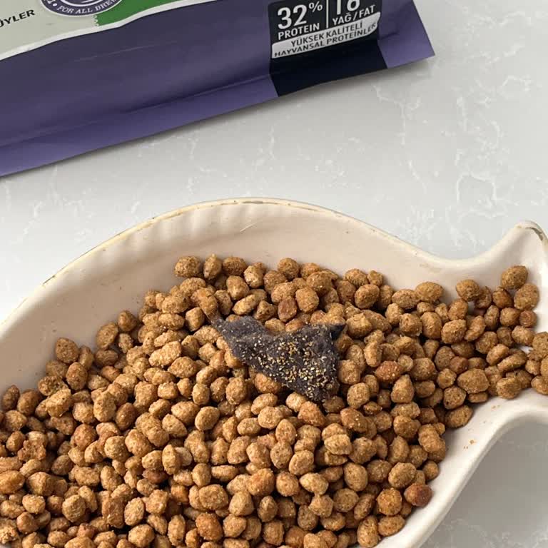 Kedi Mamasında Beklenmeyen Yabancı Madde Şoku!