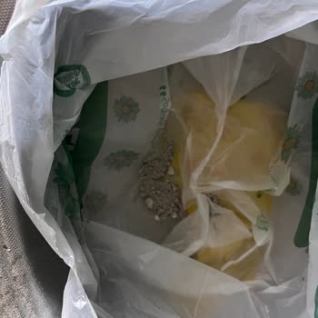 Hatalı Klima Montajı Nedeniyle Evde Toz Ve Sağlık Sorunları Yaşadık Çözüm Alamıyoruz