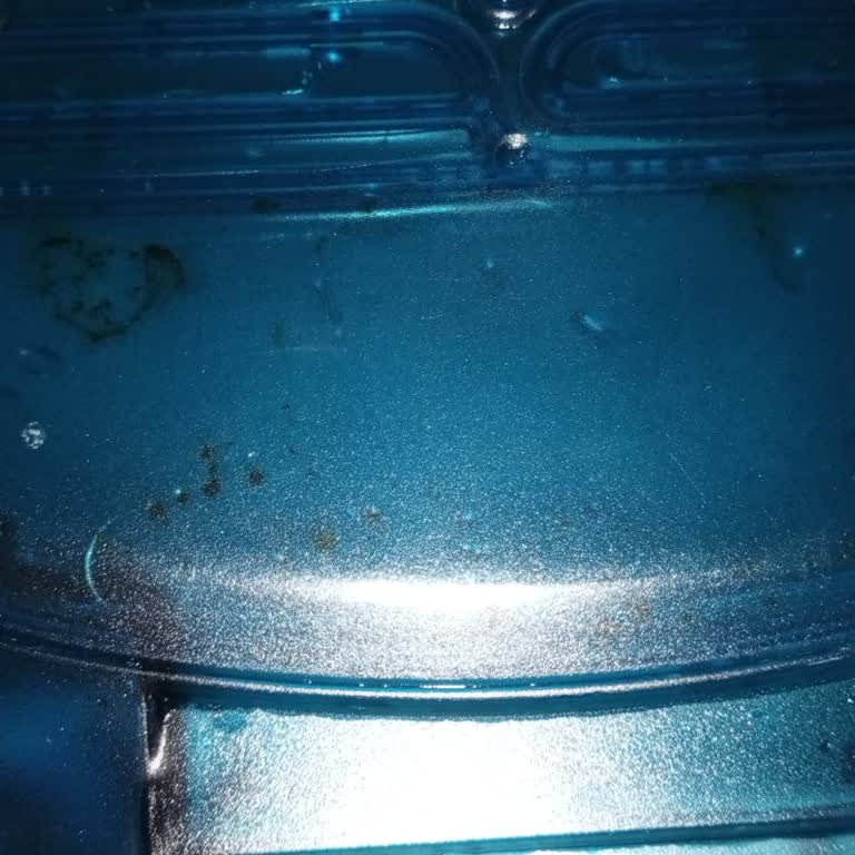 Philips Robot Süpürge Haznesinde Temizlenemeyen Küf Lekeleri!