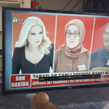 Voltaj Dalgalanması Nedeniyle Televizyonum Arızalandı Mağduriyetim Giderilmedi
