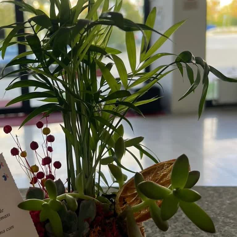 Sipariş Edilen Çiçek Eksik Ve Özensiz Teslim Edildi