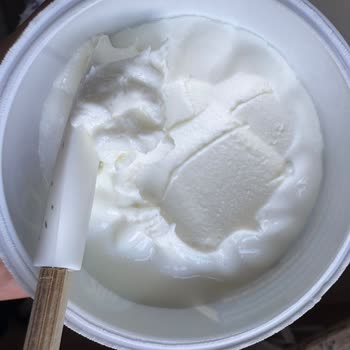 Bozuk Sek Quark Protein Ürünleri Ve Çözüm Eksikliği