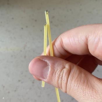 Makarnada Çıkan Yabancı Madde Hijyen Ve Sağlık Konusunda Endişe Yarattı