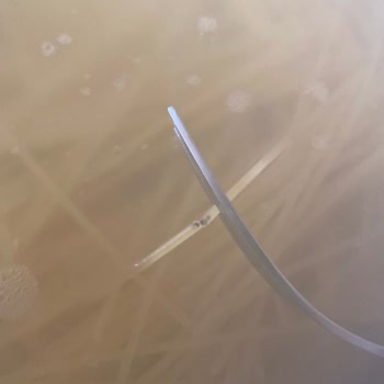 Makarnada Çıkan Yabancı Madde Hijyen Ve Sağlık Konusunda Endişe Yarattı