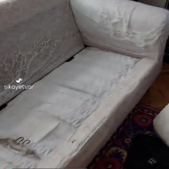 IKEA Ektorp Koltuğun Gelecekteki Hali
