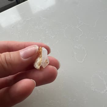 Tost Ekmeğinde Silikon Parça Çıkması Nedeniyle Güven Sorunu