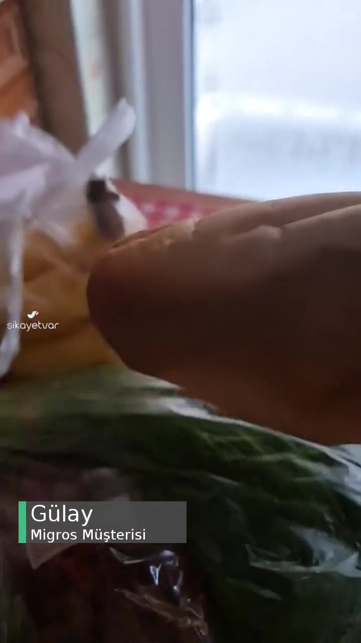 Migros Poşetin En Altında Gelen Ekmeğin Hali videonun kapak resmi