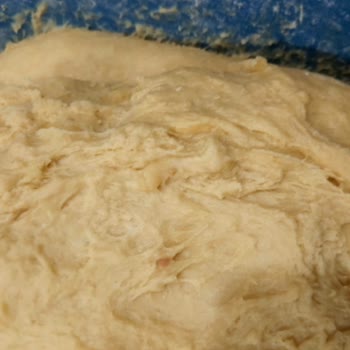 Kurtlu Un Nedeniyle Boşa Giden Malzemeler İçin Yetersiz Çözüm