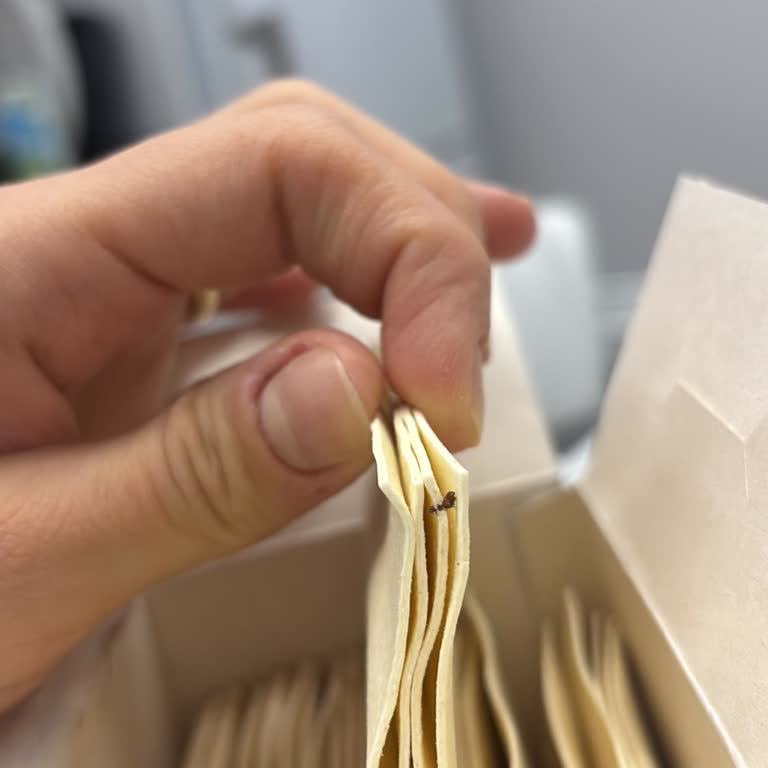 Aldığım Makarnada Güve Çıkması Hayal Kırıklığı Yarattı