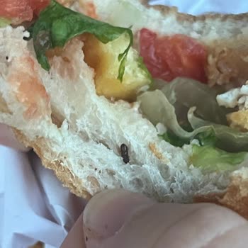 Siparişimde Kıl Saç Ve Böcek Çıktı Hijyen Sorunu Çözülmedi