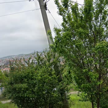 TEDAŞ İnşaat Alanında Güvenlik Riski Oluşturan Elektrik Direğinin Acil Kaldırılması Talebi