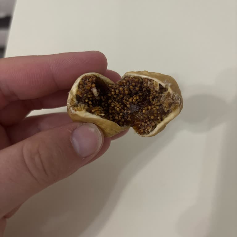 Aldığım Kuru İncirden Kurt Çıktı, Firmadan Dönüş Alamıyorum