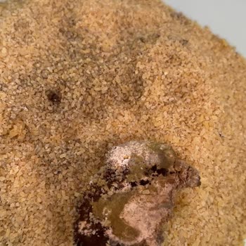 Aldığım Kısırlık Bulgurunda Yabancı Madde Ve Bozulma Sorunu Yaşadım