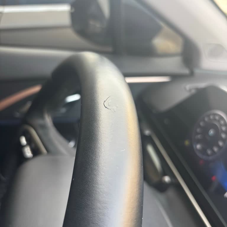 Direksiyonda Kendiliğinden Soyulma Sorunu Ve Garanti Talebi