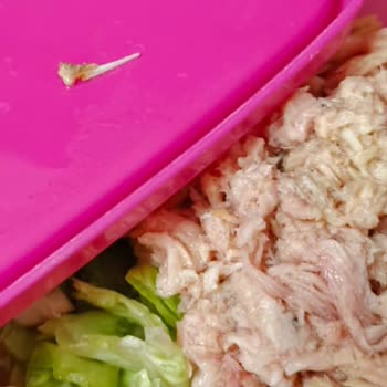 Superfresh Ton Balığında Kılçık Ve Pul Sorunu: Aynı Şubede Tekrarlayan Kalite Problemi