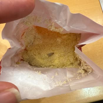 Filiz Makarna Aldığım İrmik Paketinden Böcek Ve Kurt Çıkması Gıda Güvenliğini Sorgulatıyor