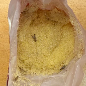 Filiz Makarna Aldığım İrmik Paketinden Böcek Ve Kurt Çıkması Gıda Güvenliğini Sorgulatıyor