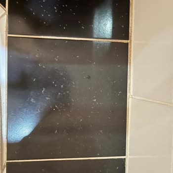 Yıkamaya Rağmen Geçmeyen Havlularda Tüy Dökme Sorunu