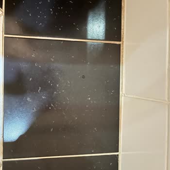 Yıkamaya Rağmen Geçmeyen Havlularda Tüy Dökme Sorunu