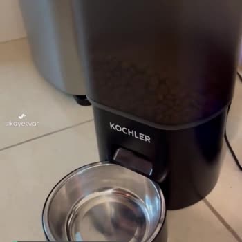 Kochler 2'si 1 Arada Akılsız Mama Ve Su Kabı